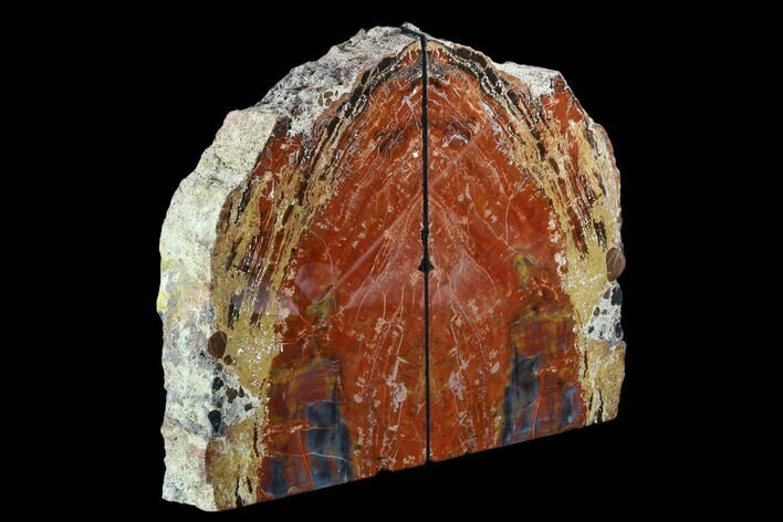 Arizona Petrified Wood Bookends - Red And Brown #123467
